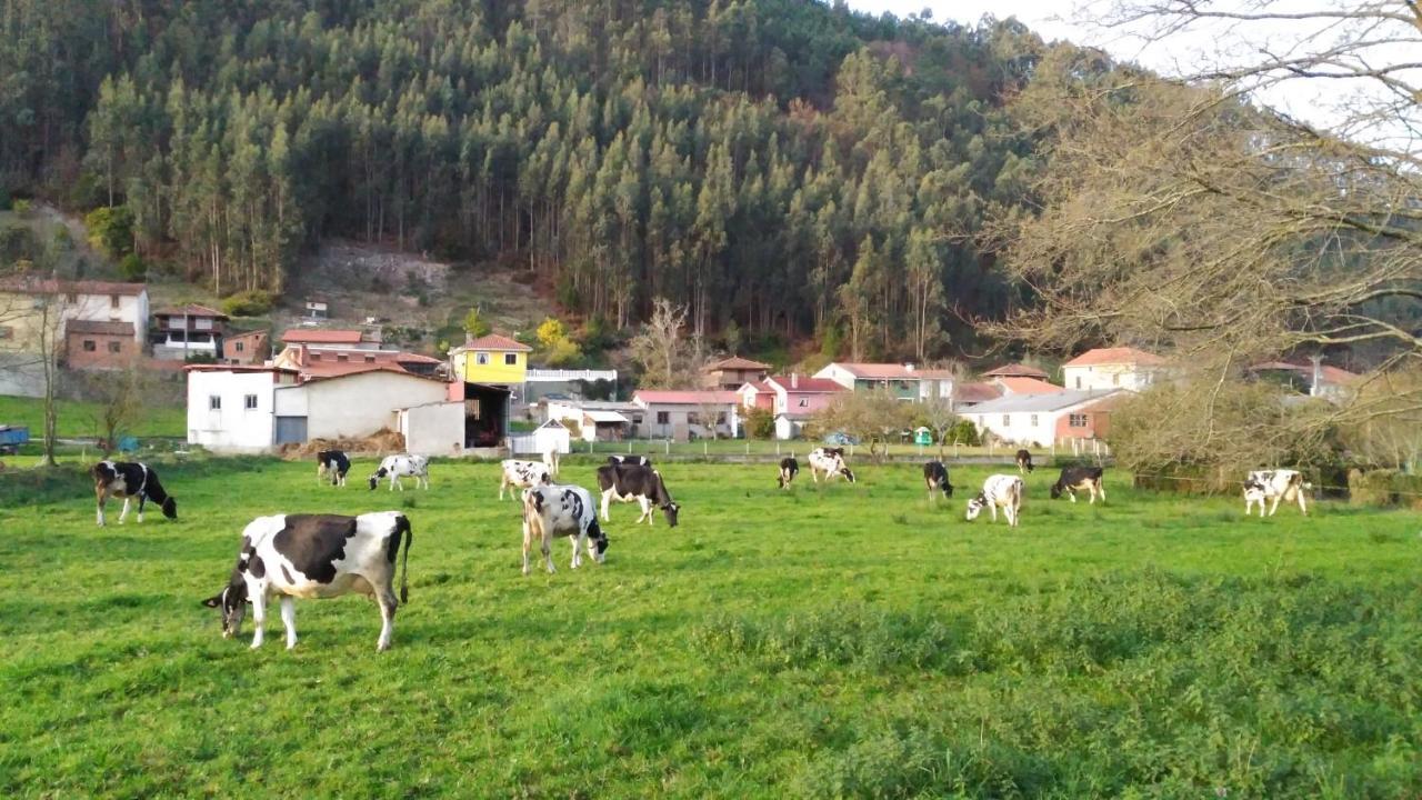 Hotel Casa Vieja Del Sastre Soto de Luiña エクステリア 写真